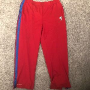 MLB baseball pants L